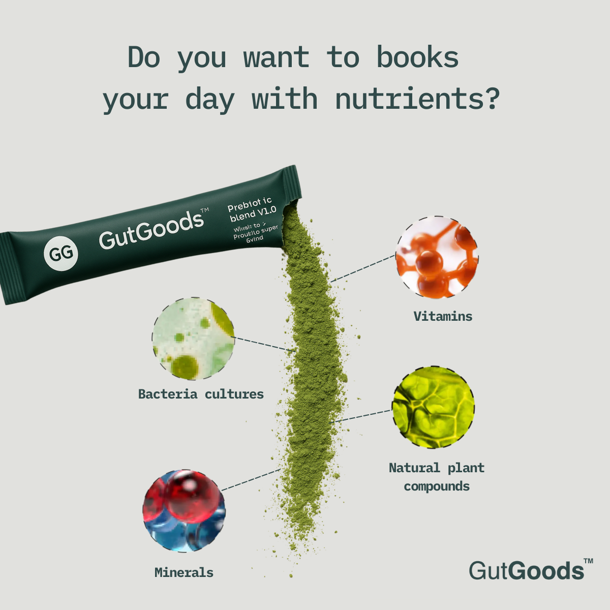 Gut Health Prebiotic Packets